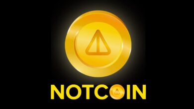 Notcoin(NOT) Review