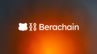 Berachain Review