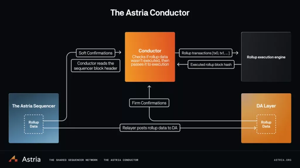 le chef d'orchestre astria