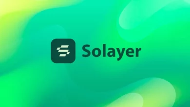 solayer review