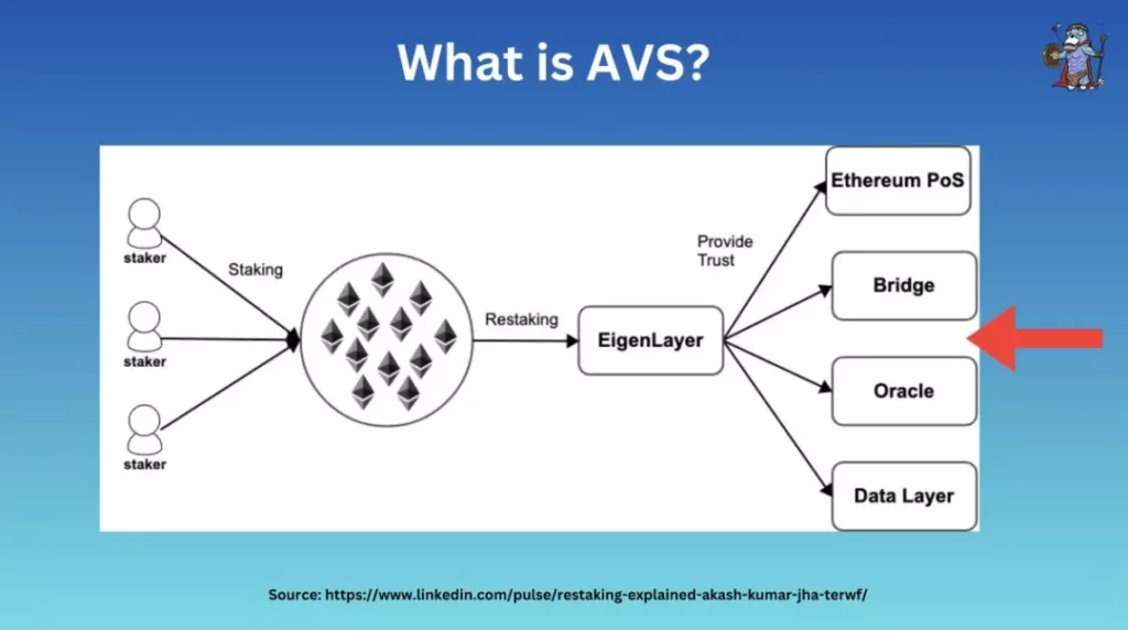 AVS nedir?