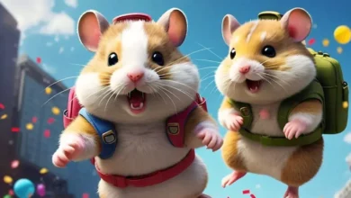 hamster kombat airdrops