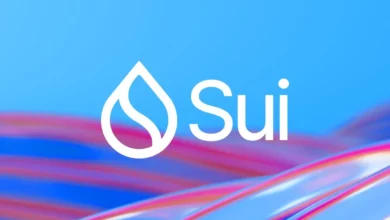 Overview of SUI Ecosystem